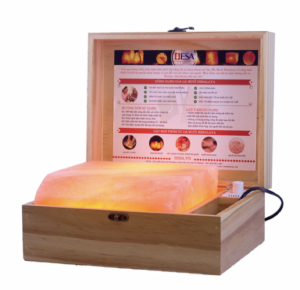Hộp đá muối massage Himalaya